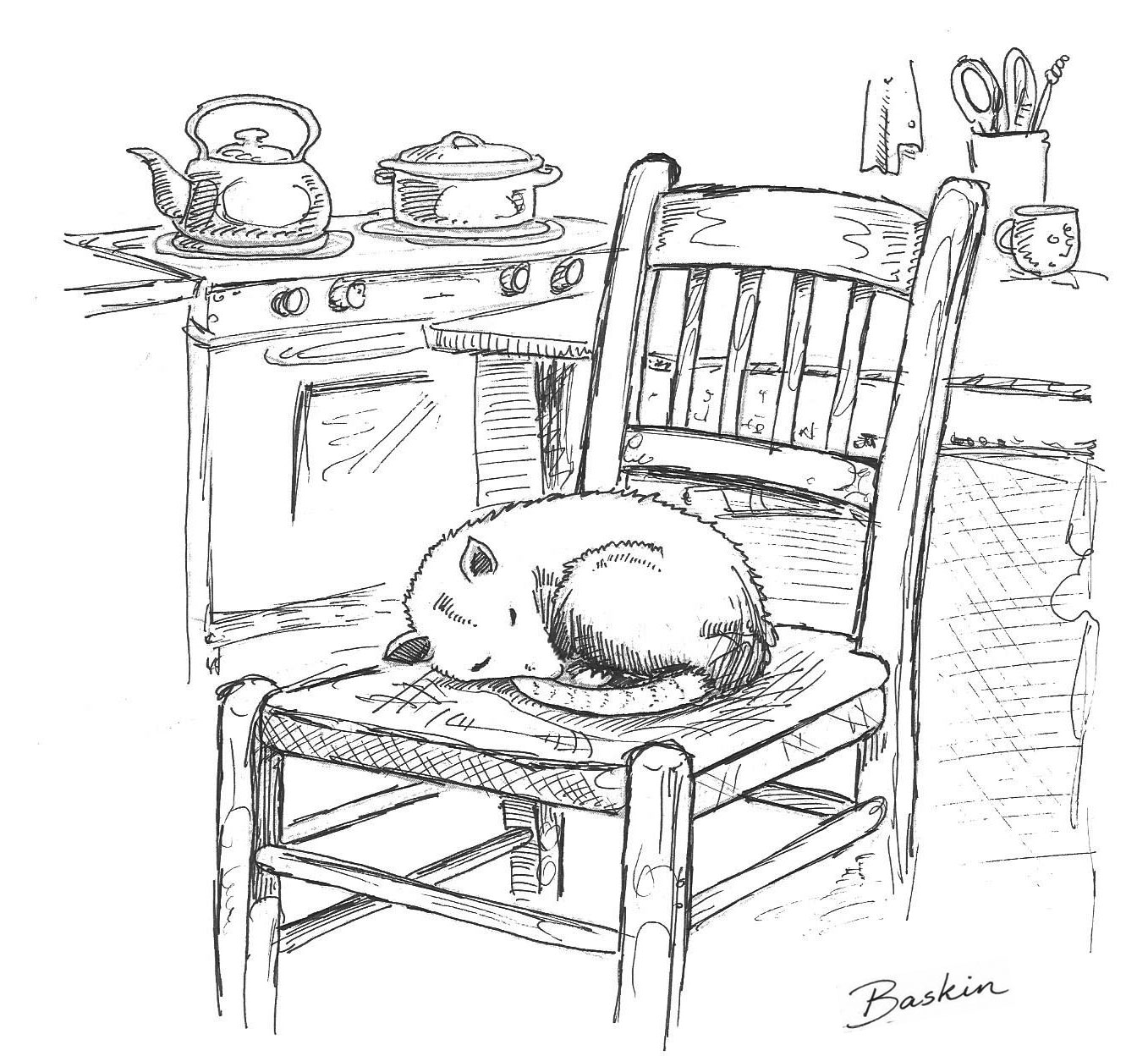 Illustration: Oren’s Possum